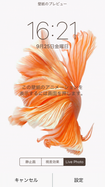 Iphone 6sにしたら壁紙をlive Photosに設定してみよう にゅるっと動くぞ 面白いアプリ Iphone最新情報ならmeeti ミートアイ