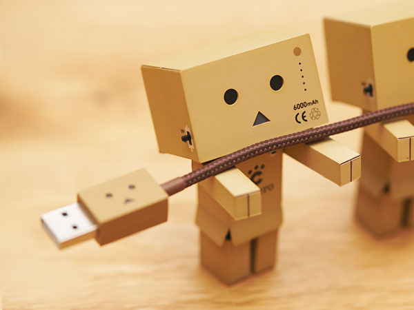 DANBOARD USB Cable (3)