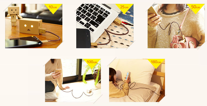 DANBOARD USB Cable (6)