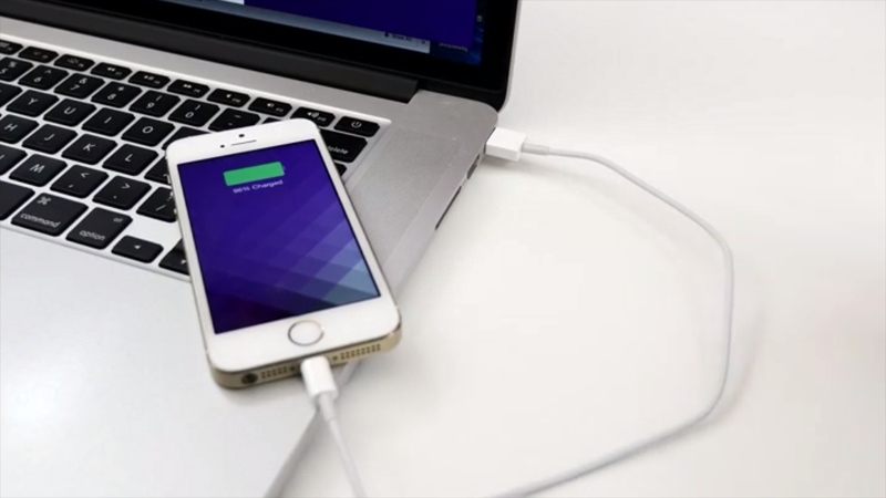 Reversible USB Lightning Cable003