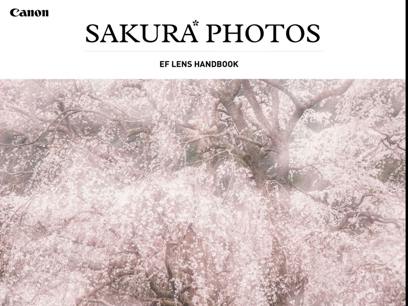 SAKURA PHOTOS