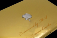 これがホントのゴールドラッシュ！？iPhone 5Sに続き、MacBook ProやiPadも黄金仕様