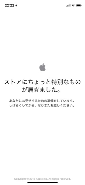 applestore_01