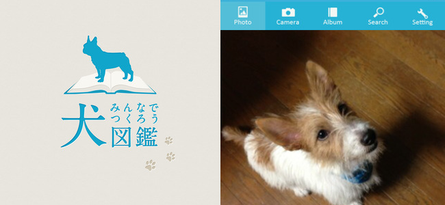 犬好き必須アプリ！愛犬写真のアルバム機能もうれしい「みんなでつくろう！犬図鑑」