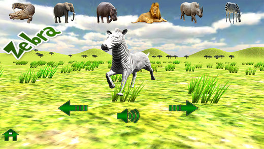 リアル動物園ツアープロ