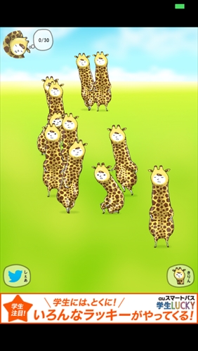 giraffe002