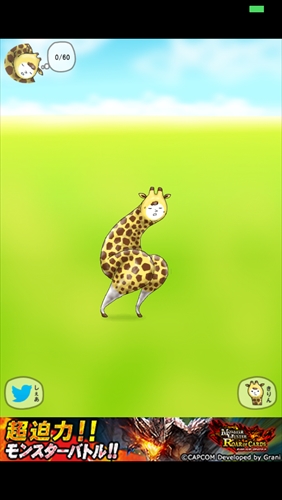 giraffe005