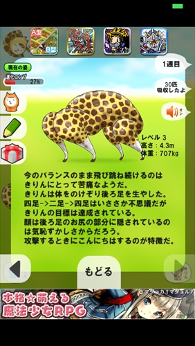 giraffe006