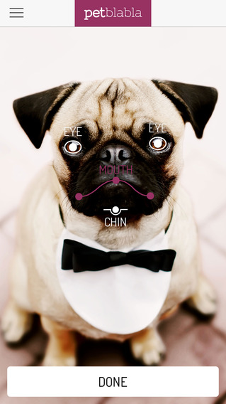 Pet BlaBla - Make Your Cat, Dog or Pet Talk