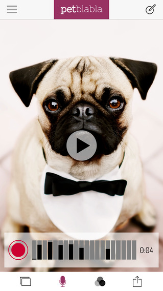 Pet BlaBla - Make Your Cat, Dog or Pet Talk