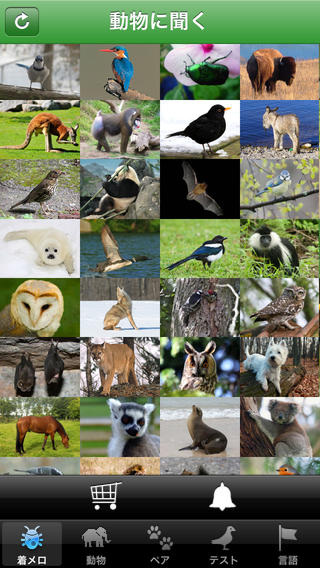 AudioZoo: 動物に聞く