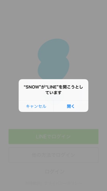 snow_06