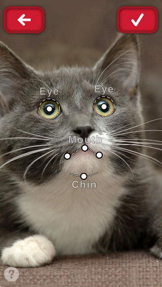 おしゃべりペット